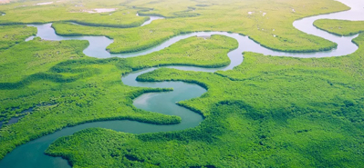 Revoluționarea irigațiilor agricole: Rolul țevilor și fitingurilor din PVC